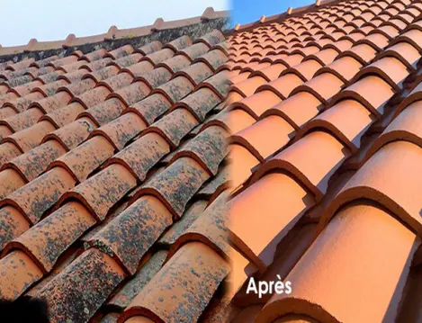 Démoussage de toiture Charente Gond Pontouvre